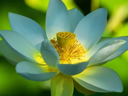 BEST LIFE U Podcast - Always Move Toward Something