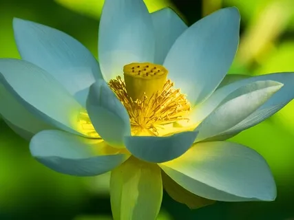 BEST LIFE U Podcast - Cultural Norms