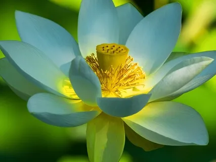 BEST LIFE U Podcast - Each Problem Or Change Is An Opportunity