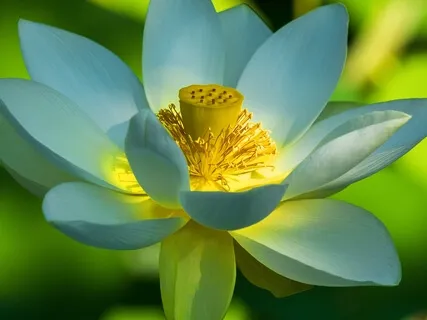 BEST LIFE U Podcast - Life Is A Process