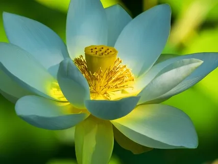 BEST LIFE U Podcast - Life Is Just One Thing After Another