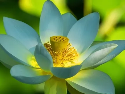 Best Life U Podcast - Living Mindfully - The Mind