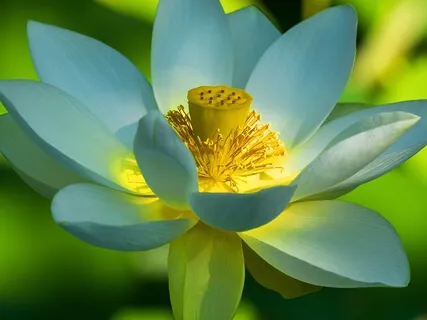 BEST LIFE U Podcast - MOTIVATION How Do You Stay Motivated?