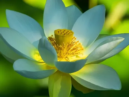 Best Life U Podcast - Motivation What Is It?