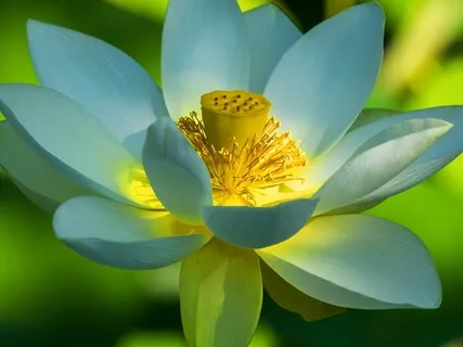 BEST LIFE U Podcast - No Two People Experience The Same Reality