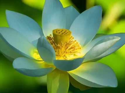 BEST LIFE U Podcast - Now Is The Beginning Of Your Future