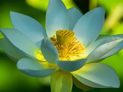 BEST LIFE U Podcast - Responsibility... It's Up To You