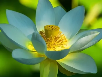 BEST LIFE U Podcast - Risk-Taking