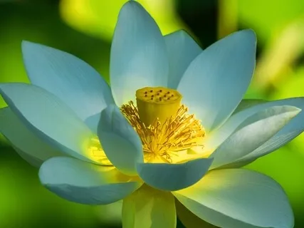 BEST LIFE U Podcast - Spend Time Alone