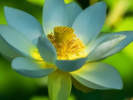 BEST LIFE U Podcast - The Mind Cannot Tell The Difference