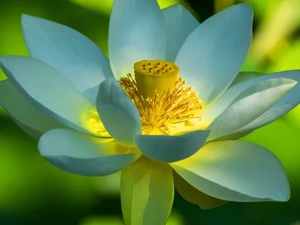 BEST LIFE U Podcast - We Cause Most Of Our Own Problems