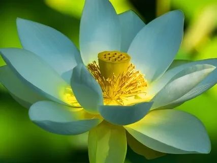 BEST LIFE U Podcast - What We Imagine About Ourselves