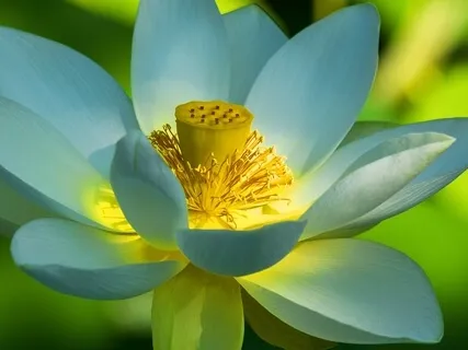 BEST LIFE U Podcast - Wisdom Is Understanding That Judgment