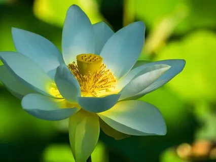 BEST LIFE U Podcast - You Are Always On A Path