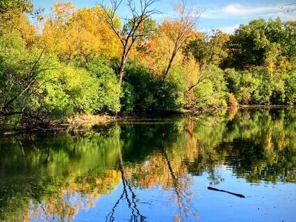 Best Meditation For A Perfect Day