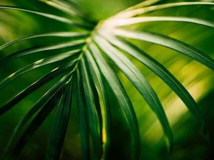 Best Self Now (Parallel Self Invocation)