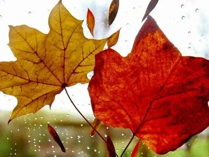 Beta Morning Motivation 22hz Isochronic Tones