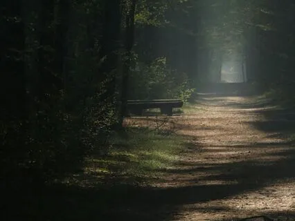 Betrayal - Special Event On Insight Timer