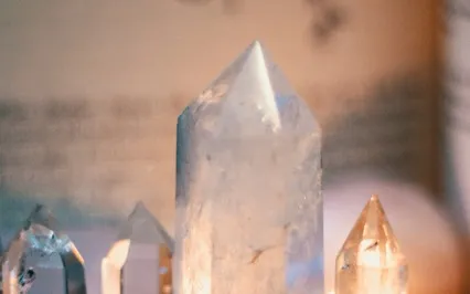 Betrayal Wound - Primal Wound Series