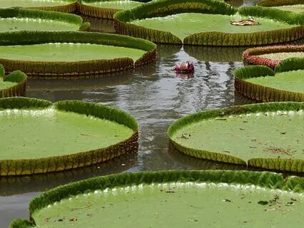 Better And Better In Every Way