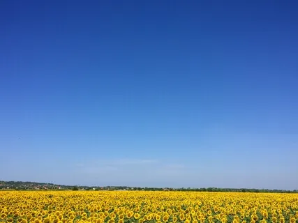 Better Life Choices & Cleanse Bad Energy (963Hz)