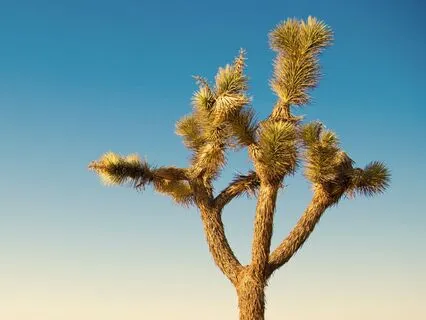 Between Heaven and Earth