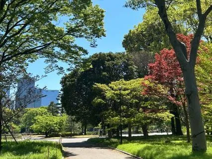 Between Meetings At Work: Reset Before Your Next One