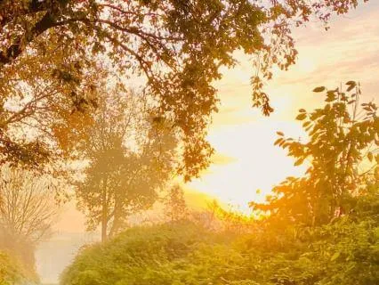 Between Summer & Autumn: Finding Peace In Times Of Change