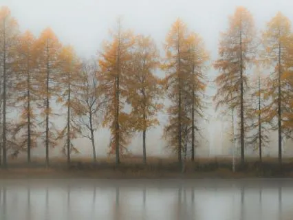 Between Words