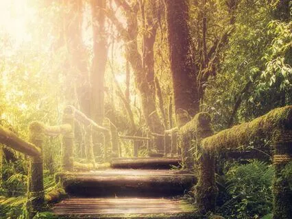 Between Worlds: Theta Waves For Intuition & Dreaming