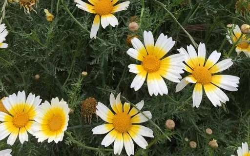 Beyond Belief! (Live: Replay No. 4)