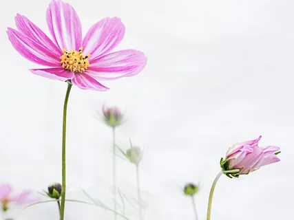 Beyond | Binaural Journey