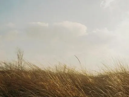 Beyond Breath (Binaural Epsilon)