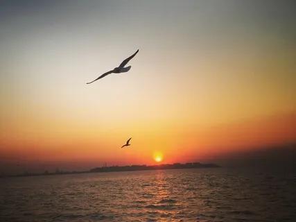 Beyond Fear With Soothing Soul Power Meditation