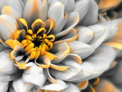 Beyond Judgment: A Meditation On Authenticity