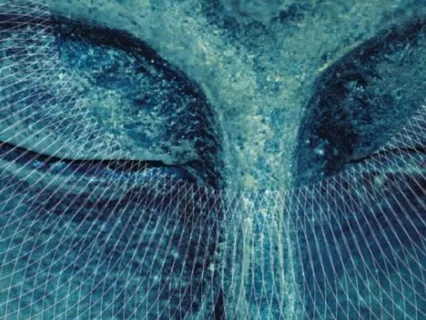 Beyond Male & Female 