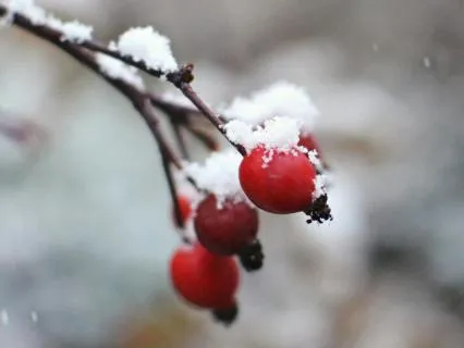 Beyond Past And Future - Jan 14