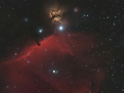 Beyond Pleasure, Beyond Joy