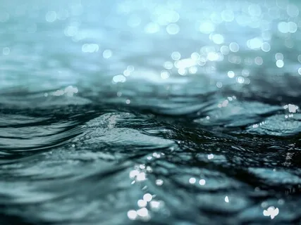 A Daily Gratitude Practice