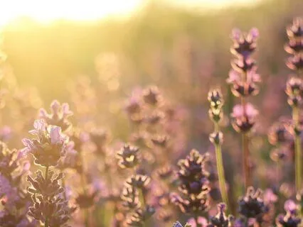 Beyond The 3D: A Journey Into Deep​ Soulful Sleep