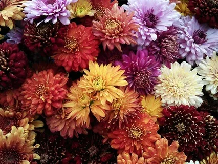 Beyond The Boxes - Living Authentically - November 06