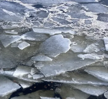 Beyond The Comfort Zone