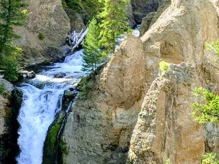 Beyond The Mind: Opening The Heart To Presence