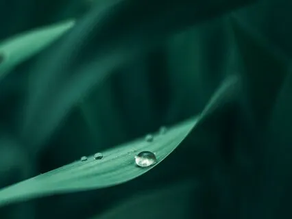 Beyond The Morning Rain: Relaxation