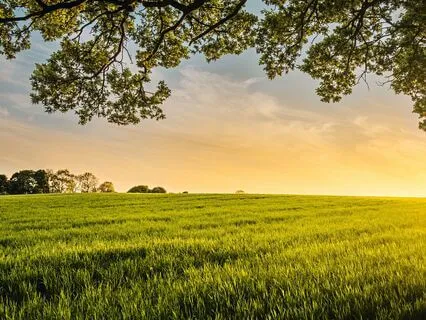 Beyond The Present Moment—Presence