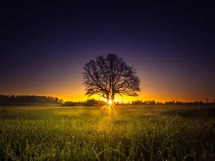 Beyond The Shadows - Meditative Instrumental Guitar Music