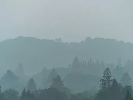 Beyond the Veil | Cinematic Meditation