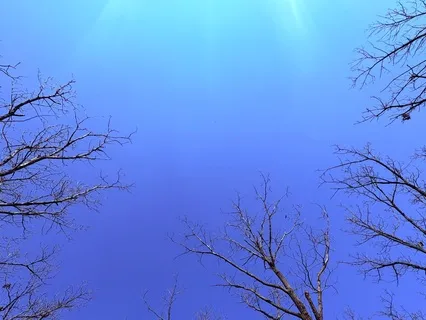 Beyond Tradition: Heart & Semiotic Awareness