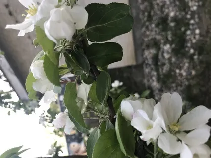 Beyond Trauma Part Three: Soothing The Trauma In Our Lives 