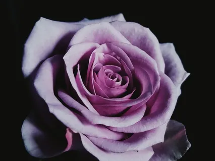 Beyond Trauma - Part Two Of Pandemic Series